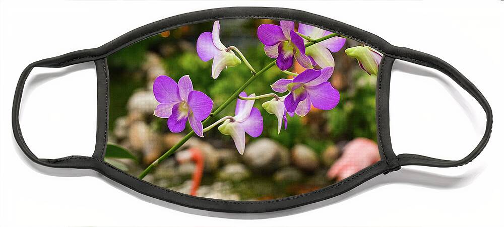 Orchid Face Mask featuring the photograph Orchids in Paradise by Nicole Lloyd