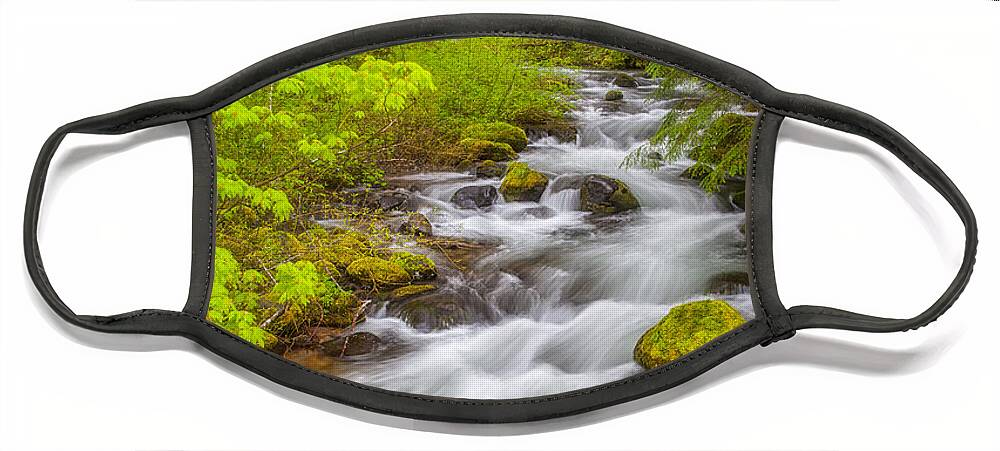 Oregon Face Mask featuring the photograph Oregon Creek by Darren White