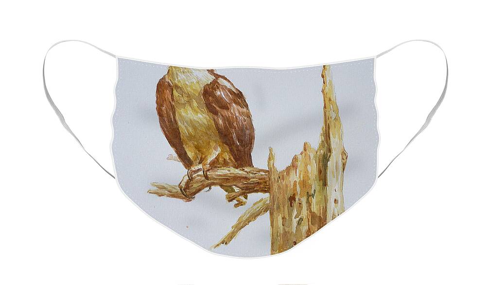 Watercolour Painting Face Mask featuring the painting Original Watercolor Painting Drawing Animal Artwork Eagle On Paper#16-01-5-2 by Hongtao Huang