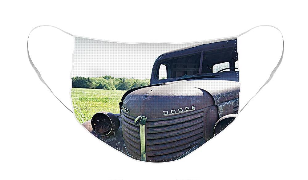 Dodge Face Mask featuring the photograph Out to Pasture by Cricket Hackmann