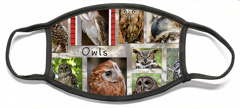 Owls Face Mask featuring the photograph Owl Photomontage by Jill Lang