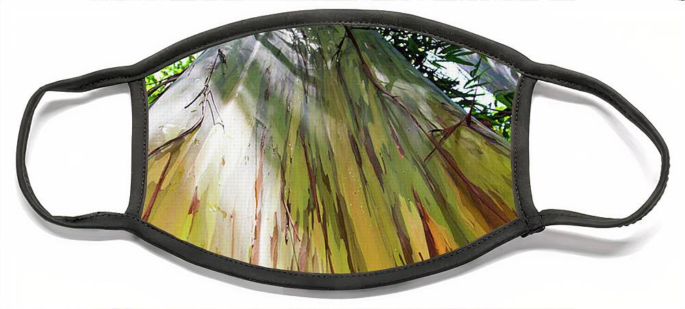 Painted Eucalyptus Tree Face Mask featuring the photograph Painted Tree by Anthony Jones