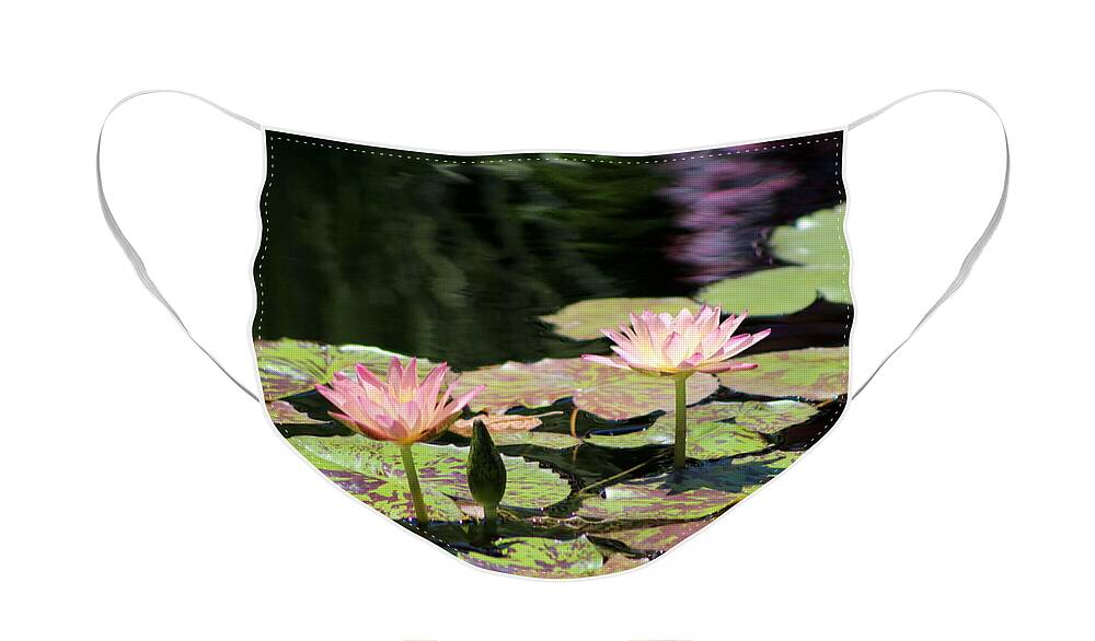 Painted Waters Face Mask featuring the photograph Painted Waters - Lilypond by Colleen Cornelius