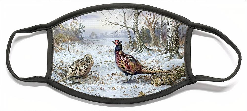 Game Bird; Snow; Woodland; Perdrix; Faisan; Troglodyte; Pheasant; Pheasants; Tree; Trees; Bird; Animals Face Mask featuring the painting Pair of Pheasants with a Wren by Carl Donner