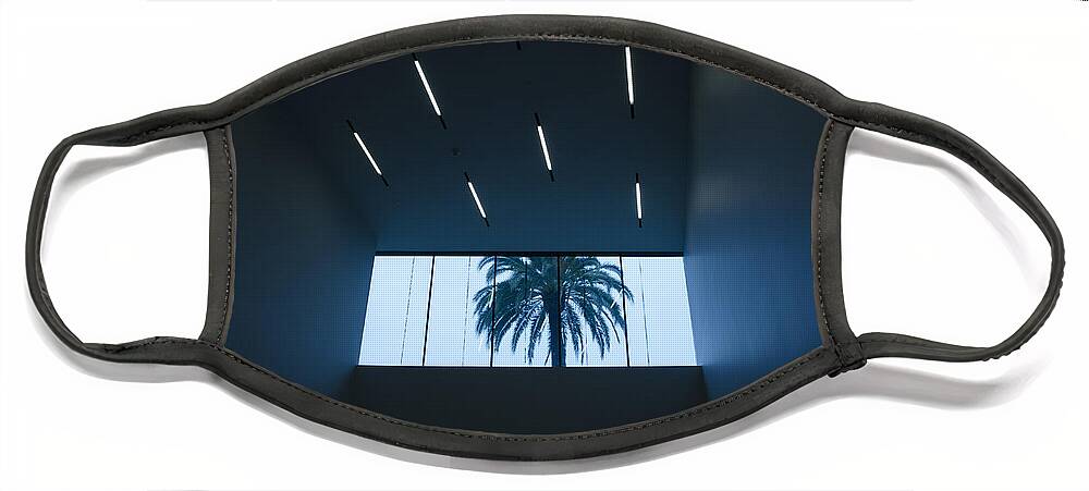 Palm Tree Face Mask featuring the photograph Palm Tree through Window by Erik Burg