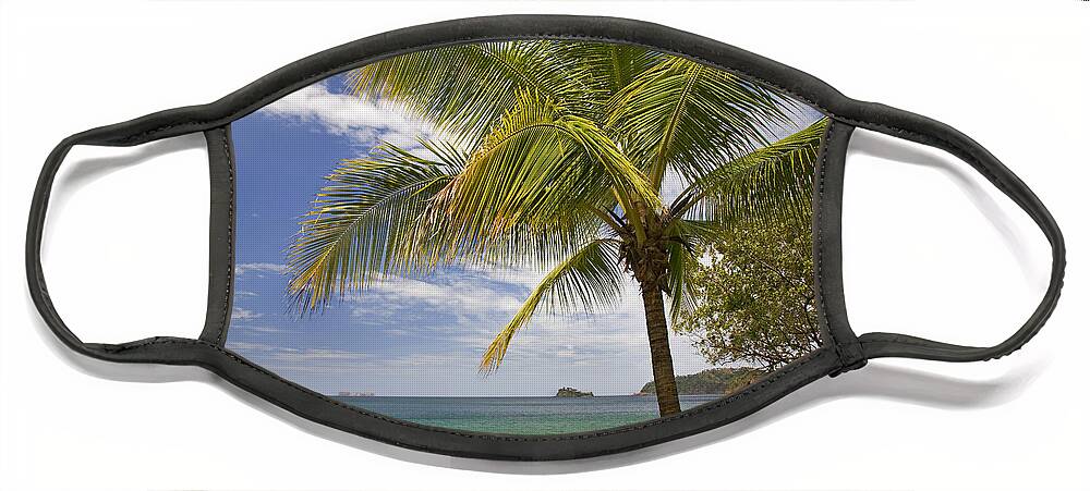 00429557 Face Mask featuring the photograph Palm Trees Line Penca Beach Costa Rica by Tim Fitzharris