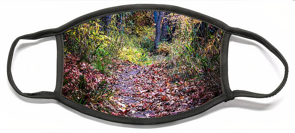 Fall Colors Face Mask featuring the photograph Path of Leaves by Michael Ash