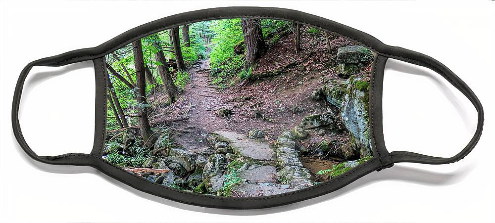 Path Face Mask featuring the photograph Path Over Limestone Spring by Jean Macaluso