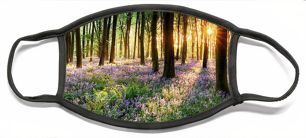 Flower Face Mask featuring the photograph English bluebell woodland path by Simon Bratt
