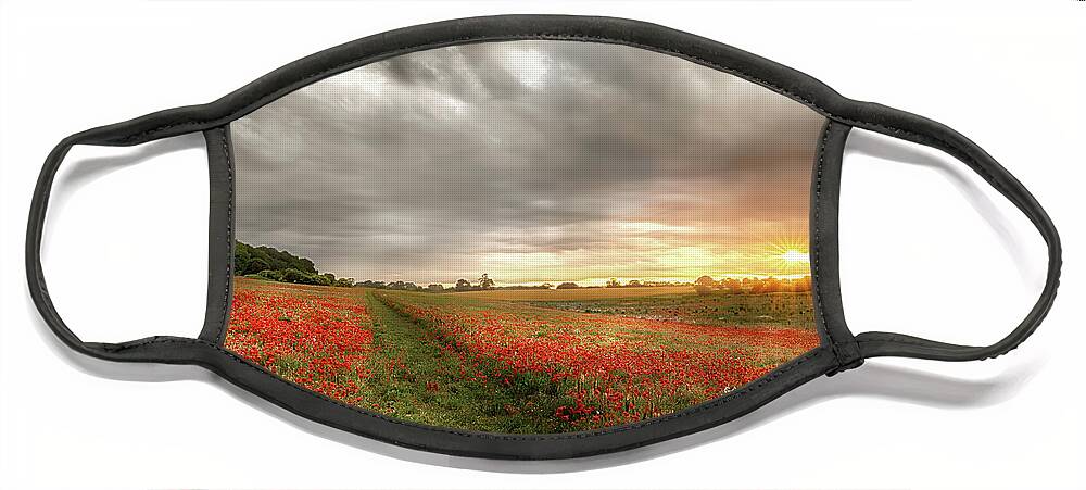 Norfolk Face Mask featuring the photograph Norfolk England path through wild poppies at dawn by Simon Bratt
