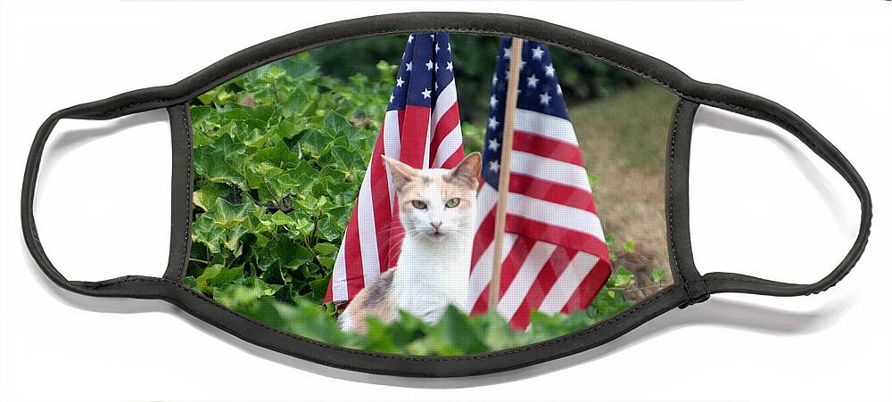 White Cat With Sandy-colored Spots Face Mask featuring the photograph Patriotic Cat by Valerie Collins