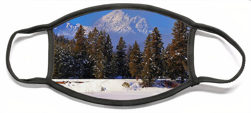 Tetons Face Mask featuring the photograph Peaking Through by Greg Norrell