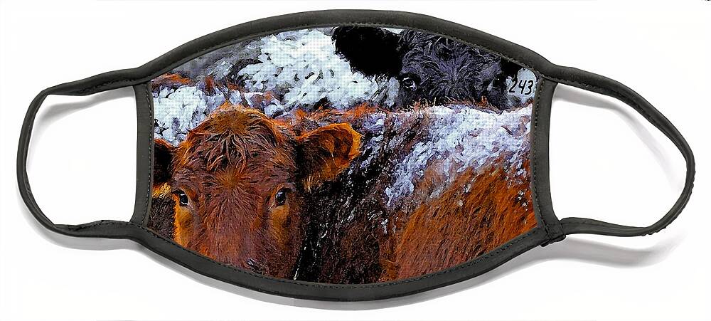 Heifers Face Mask featuring the photograph Peek a Boo Heifers by Amanda Smith