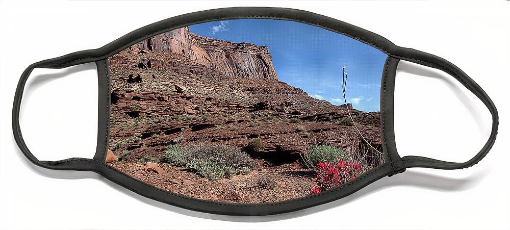 Utah Landscape Face Mask featuring the photograph Peppermint Bluff by Jim Garrison