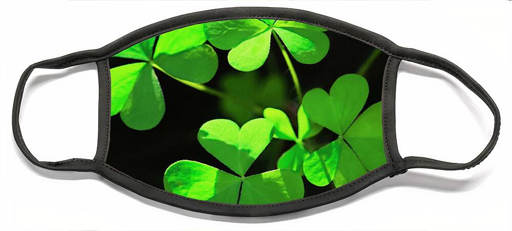 Clover Face Mask featuring the photograph Perfect Green Shamrock Clovers by Christina Rollo