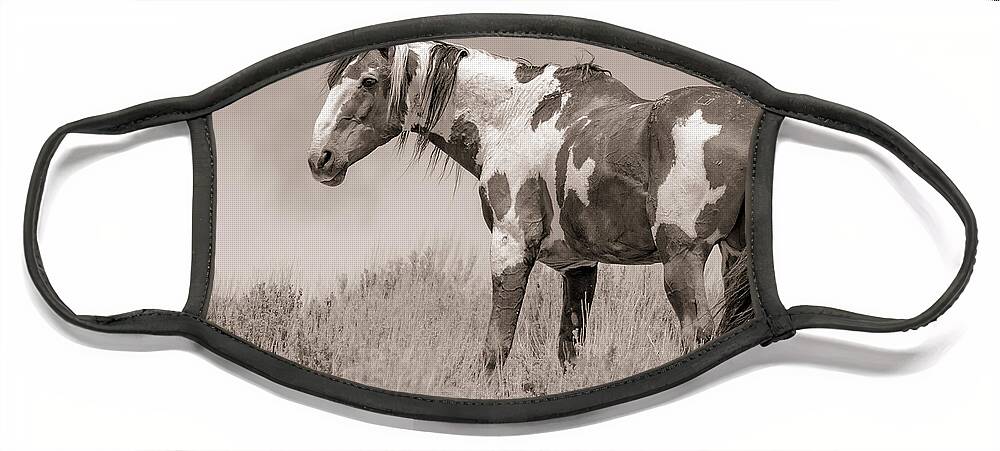 Mustang Face Mask featuring the photograph Picasso on the Ridge by Mindy Musick King