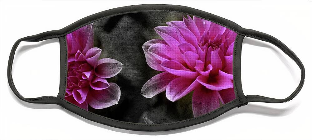 Flowers Face Mask featuring the photograph Pink Dahlia by Lily Malor