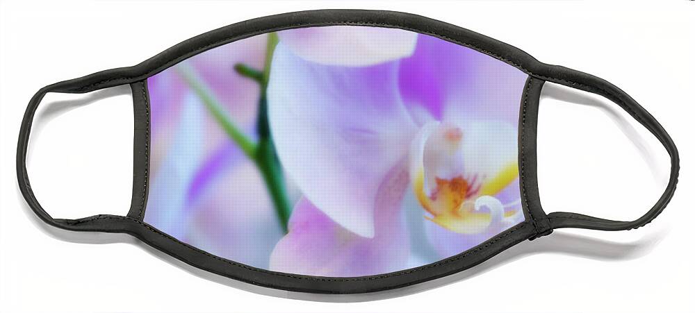 Orchids Face Mask featuring the photograph Pink Girls Dancing by Jade Moon