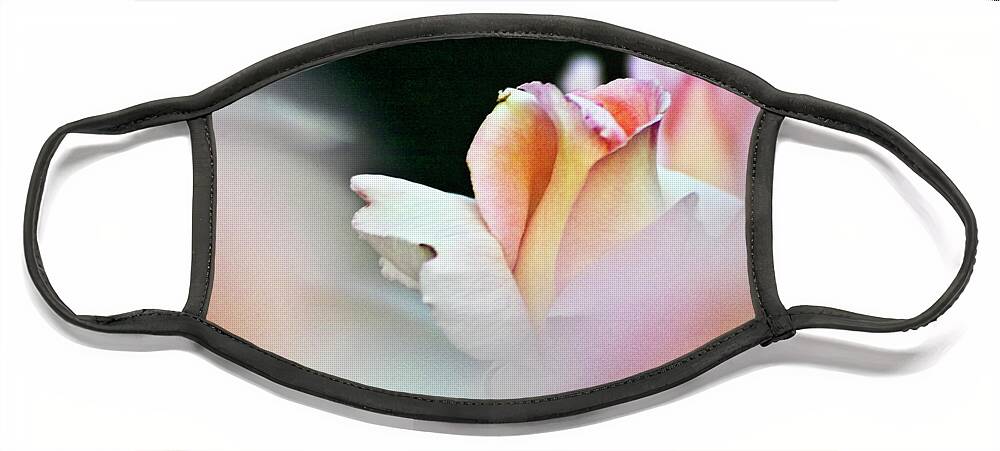 Rose Face Mask featuring the photograph Pink Rose by Heiko Koehrer-Wagner