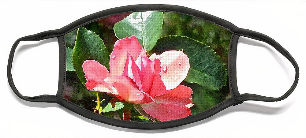Roses Face Mask featuring the photograph Pink Roses in the Rain 2 by Janis Senungetuk