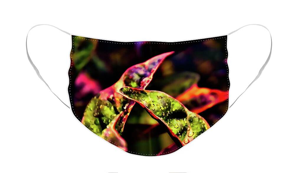 Plants Face Mask featuring the photograph Plants in the Rain 1 by Kristalin Davis by Kristalin Davis