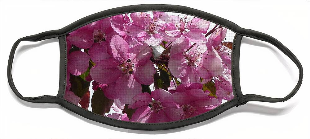 Flowers Face Mask featuring the photograph Plum Perfect by Ruth Kamenev