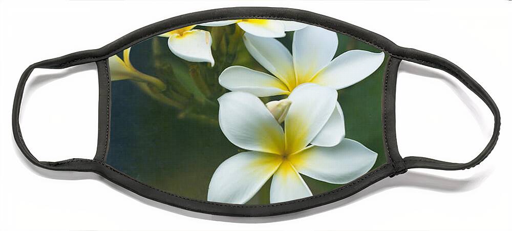 Plumerias Face Mask featuring the photograph Plumerias on a Cloudy Day by Jade Moon 