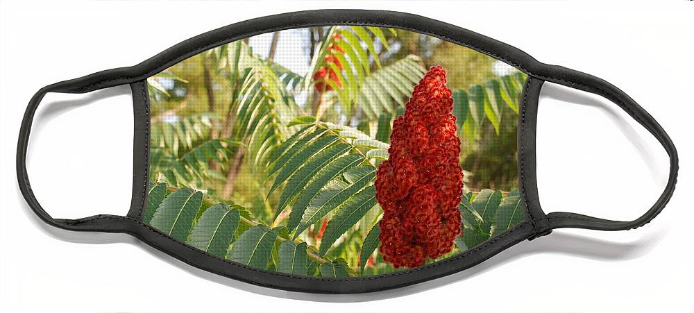 Staghorn Sumac Face Mask featuring the photograph Staghorn Sumac #2 by Ee Photography