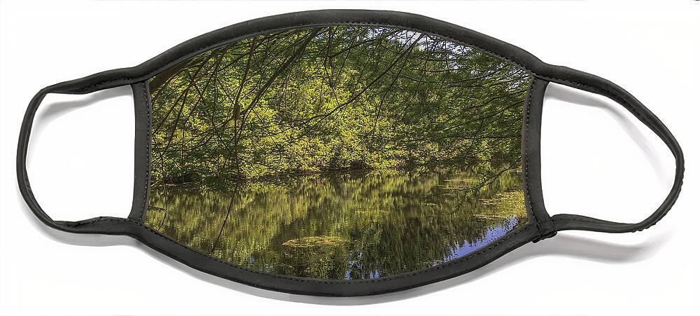 Pond Face Mask featuring the photograph Pond Reflections in Mount Pleasant SC by Dale Powell