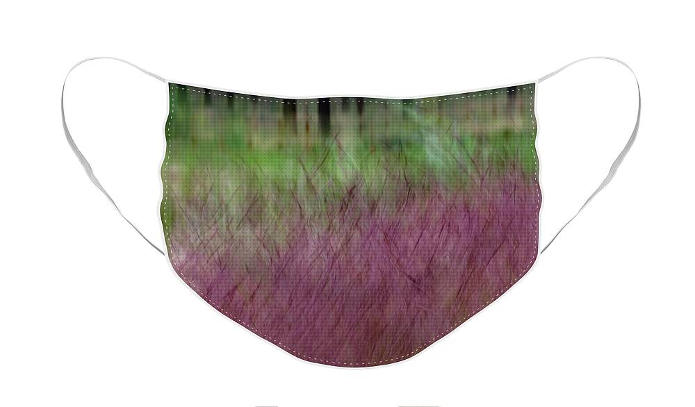 Trees Face Mask featuring the photograph Ponderosa With Grass by Deborah Hughes