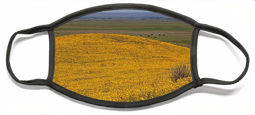 Yellow Wildflowers Face Mask featuring the photograph Mound of Gold by Jim Garrison