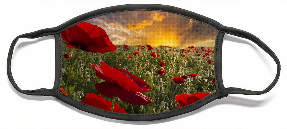 Appalachia Face Mask featuring the photograph Poppy Field by Debra and Dave Vanderlaan