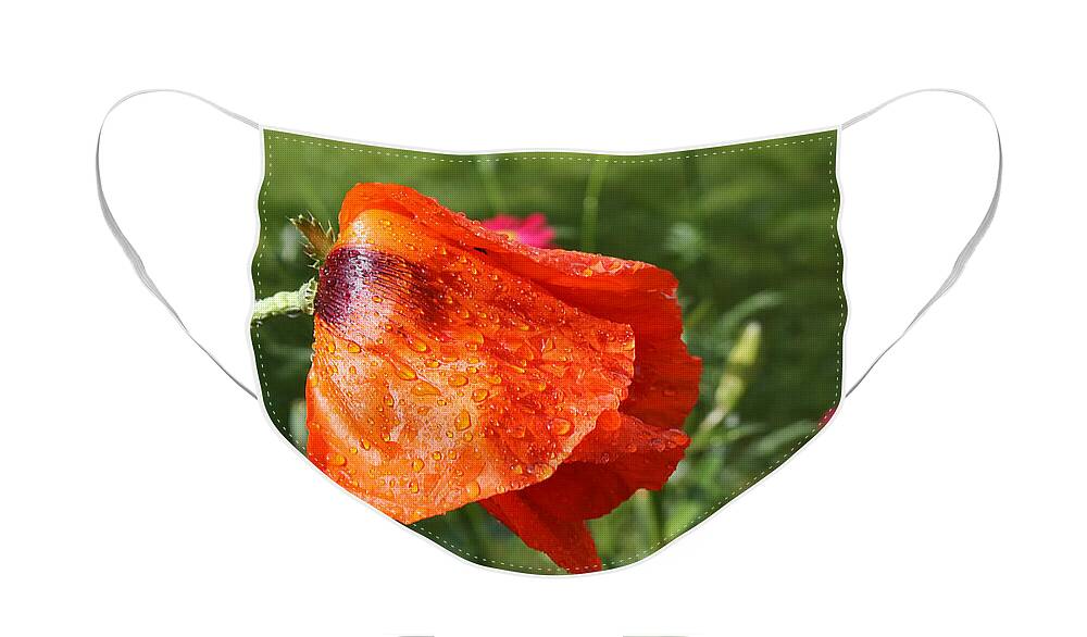 Flower Face Mask featuring the photograph Red Poppy II by Teresa Zieba