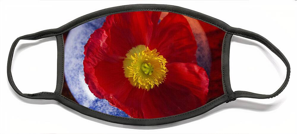 Red Face Mask featuring the photograph Poppy on Orange by Jeanette French
