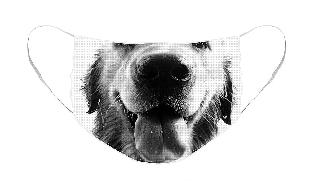 #faatoppicks Face Mask featuring the photograph Portrait of a Happy Dog by Osvaldo Hamer