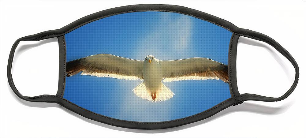 Seagull Face Mask featuring the photograph Portrait of a Seagull by John A Rodriguez