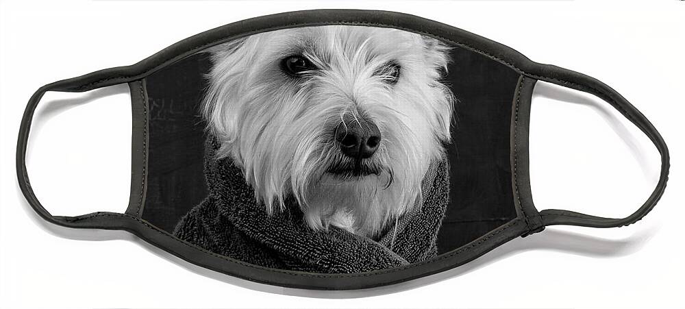Portrait Of A Westie Dog Face Mask featuring the photograph Portrait of a Westie Dog by Edward Fielding