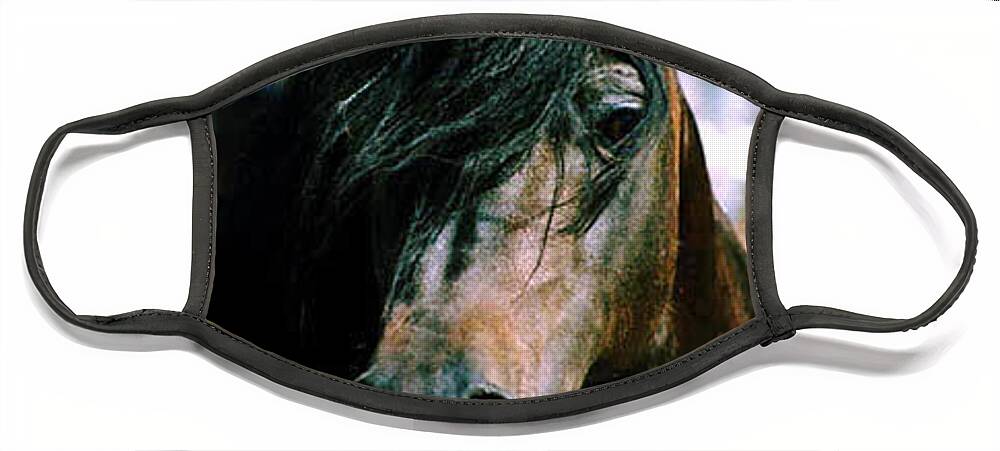 Horse Face Mask featuring the photograph Portrait of His Majesty - The King by Kathy McClure