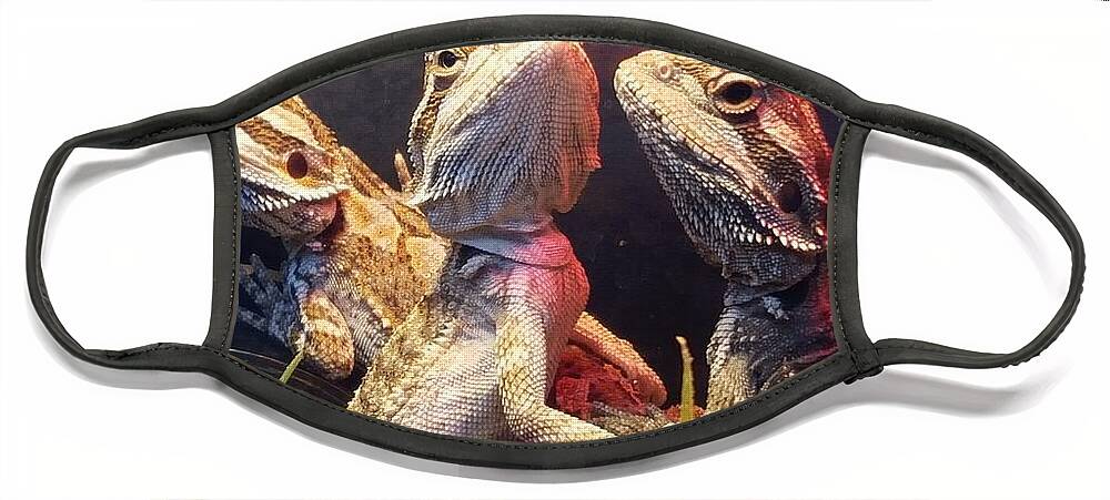 Reptiles Face Mask featuring the photograph Posers at the Pet Store by Dani McEvoy