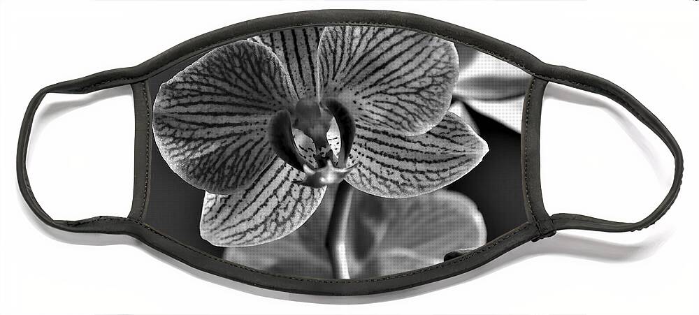 Orchid Face Mask featuring the photograph Pretty Orchid BW by Jeremy Hayden
