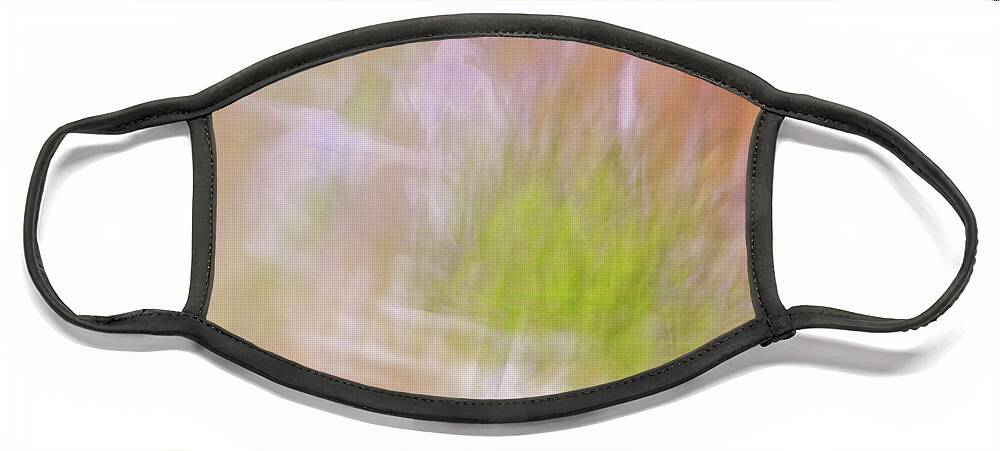 Radial Blur Face Mask featuring the photograph Promise of a Flower by Cheryl Day