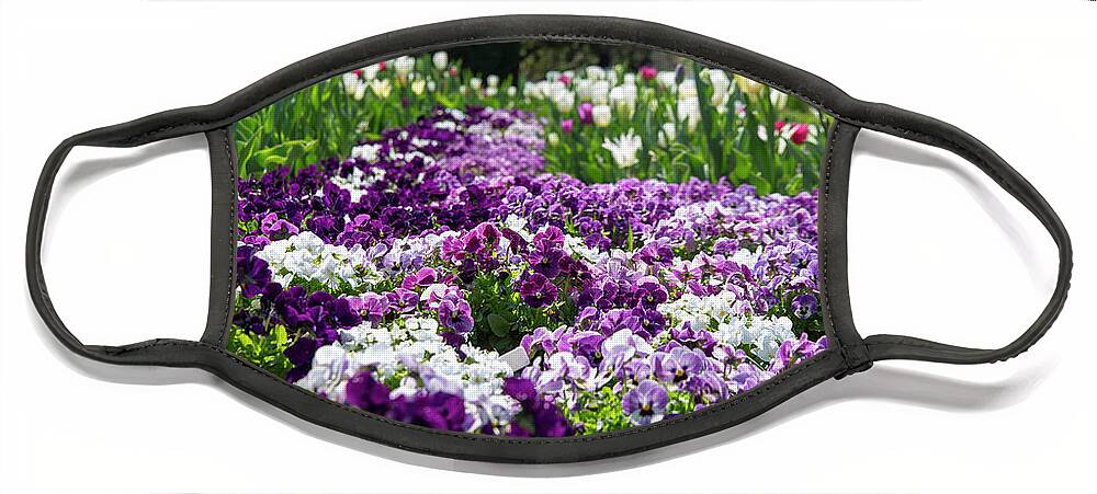 Flowers Face Mask featuring the photograph Purple carpet by Agnes Caruso
