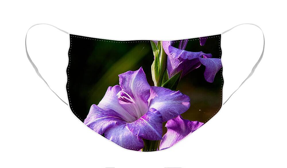 Gladiolas Face Mask featuring the photograph Purple Glads by Christopher Holmes