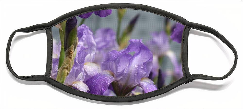 Purple Iris Face Mask featuring the photograph Purple Irises by Lauri Novak