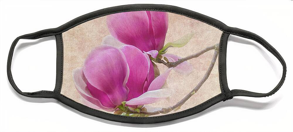 Magnolia Face Mask featuring the photograph Purple Tulip Magnolia by Heiko Koehrer-Wagner