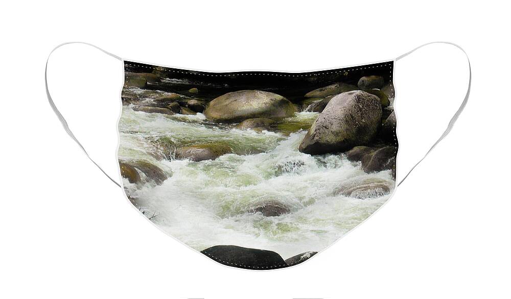 Tropical Queensland Series By Lexa Harpell Face Mask featuring the photograph Quiet - Mossman Gorge, Far North Queensland, Australia by Lexa Harpell