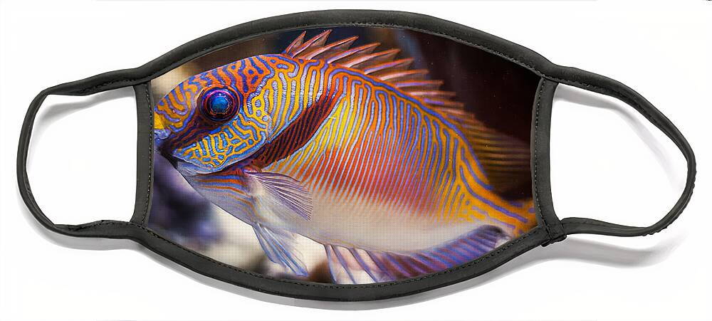 Animals Face Mask featuring the photograph Rabbitfish by Rikk Flohr