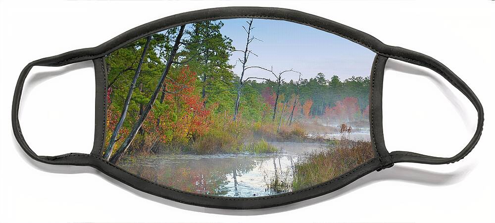 Autumn Face Mask featuring the photograph Radiant Morning by Jim Cook