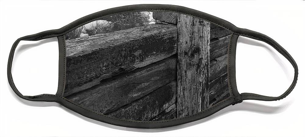 Railroad Ties Face Mask featuring the photograph Railroad ties by Robert WK Clark
