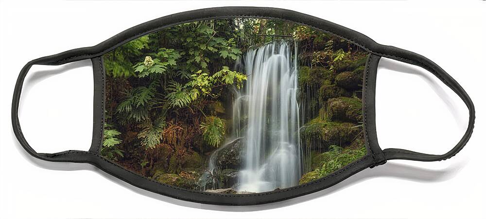 Water Fall Face Mask featuring the photograph Rainbow Springs Fall by Tim Wemple